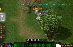 单职业传奇里的“独狼逆袭”：从被抢怪