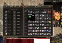 沃玛森林的月光下，那只陪我从20级走到40级的虎卫终究化了白光